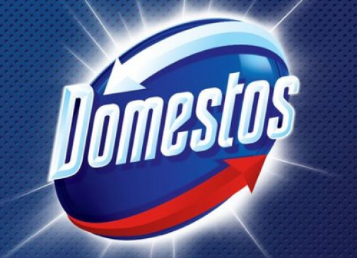 Domestos - Iskola mosdók felújítási program